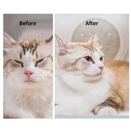 Petkit AirSalon Max Pro vysoušeč srsti