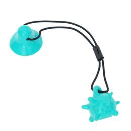Reedog Bone, rubber dental toy for dogs, 12 cm