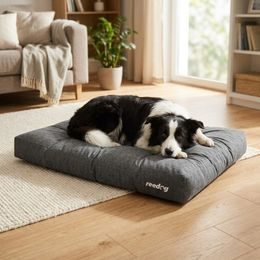 Cama para perros Reedog Black & Red Sofa