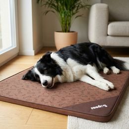 Alfombrilla para perro Reedog Beige