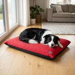 Colchón para perro Reedog Eco Extra Brown Paws