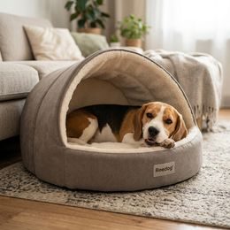 Reedog pamlsky pro psy Losos a arktický Krill