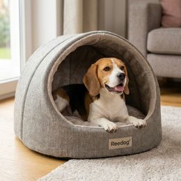 Dogtrace d-control easy mini