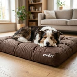 Matrac para perros Reedog Grand Light Brown