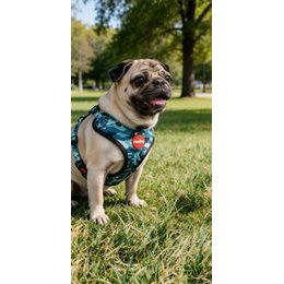 Amiplay Arnés para gato con correa Samba Rojo