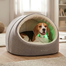 Reedog leuchtender Anhänger für Hunde und Katzen - Knochen