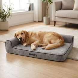 Hundepyramide Reedog 2v1 Brown Bones