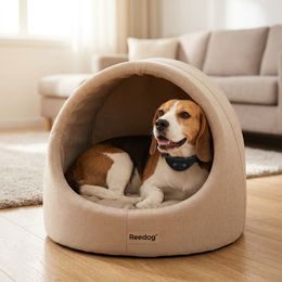 Reedog No Bark Premium