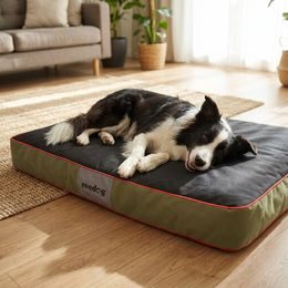 Colchón para perro Reedog Eco Extra Strips