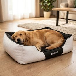 Hundepyramide Reedog 2v1 Brown Bones