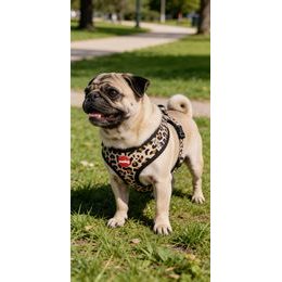 Amiplay Kšíry pro kočku s vodítkem Samba Tyrkysové