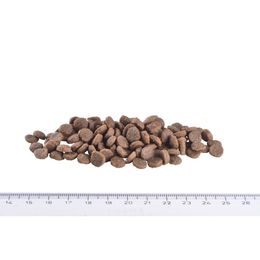 Calibra Dog Verve GF Adult Large Chicken & Duck 12 kg