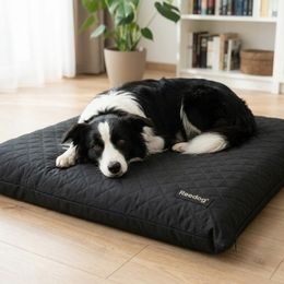 Cama para perro Reedog Exclusive Paw Black