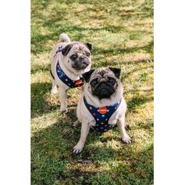 Reversible harness SUPERDOG