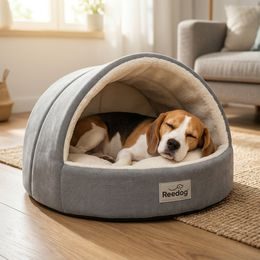 Reedog pamlsky pro psy Losos a arktický Krill