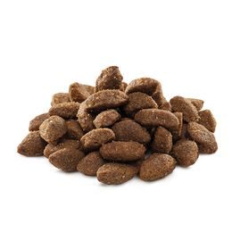 Caducidad 21.7. 2026: Brit Premium by Nature Junior L 15 kg