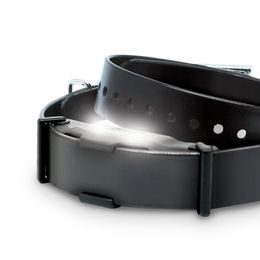 Collar y receptores Dogtra ARC-X