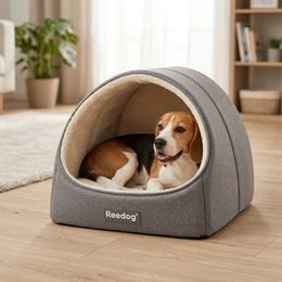 Dogtrace d-control easy mini