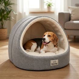 Dogtrace d-control easy mini