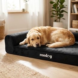Cama para perros Reedog Fancy Red