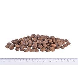 Brit Care Mini GF Sensitive Venison 7 kg