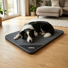 Kukaň Reedog Prompter Negra para perro