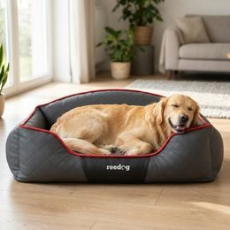 Cama para Perro Reedog Porto Rosa