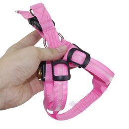 Reedog Leuchtgeschirre für große Hunde