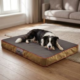 Colchón para perro Reedog Standard Gris