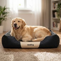 Cama para perro Reedog Negro & Beige Tommy