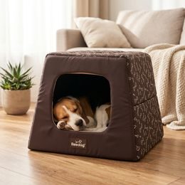 Reedog Pyramida 2v1 Brown Bones