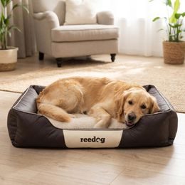 Reedog Bed Black & Red Sofa