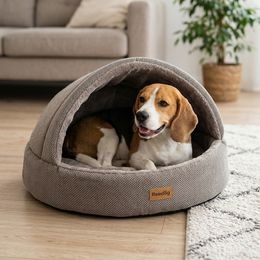 Reedog pamlsky pro psy Losos a arktický Krill