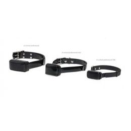 Dogtrace d-control 440