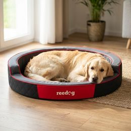 Reedog Cama Amazing Grafito