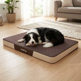 Colchón para perro Reedog Plus Black de pana