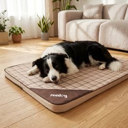 Cama para perro Reedog Exclusive Paw Black