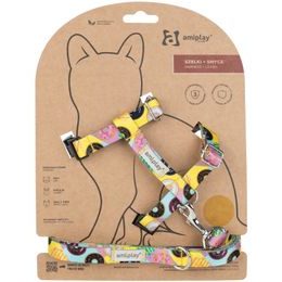 Amiplay Kšíry pro kočku s vodítkem BeHappyCat Donut