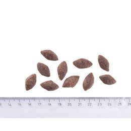 Termin ważności 20.2. 2026: Calibra Cat Verve GF Indoor & Weight Chicken 3,5 kg