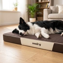 Colchón para perro Reedog Plus Black de pana