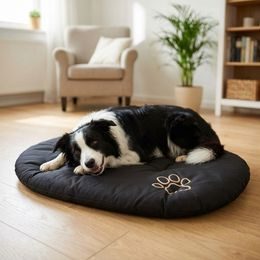 Cama para perro Reedog Pianki Dog