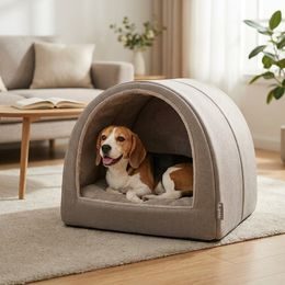 Reedog Senza Premium retractable dog leash L 50kg / 5m tape / turquoise