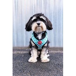 Szelki Reedog AVOCADO
