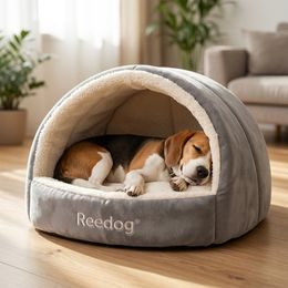 Petwant Multicolor Light-Up Collar