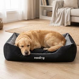 Hundematte Reedog Thin Paw