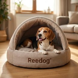 Dogtrace d-control easy mini