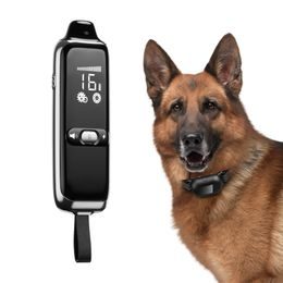 BAZAR - PetSafe Lite 600m, pro malé psy