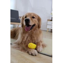 Reedog latexový pískací míč pro psy