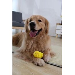 Reedog Kong ball pískací hračka pro psy, 17cm