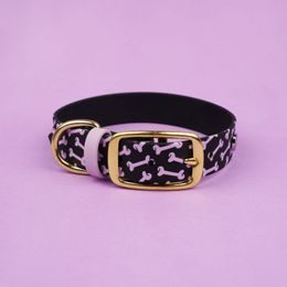 Amiplay Verstellbares Halsband Safari Panterka